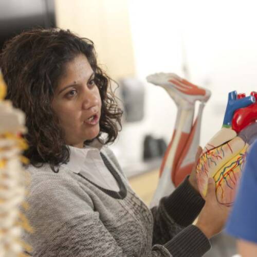 New Undergraduate Biomedical Engineering Major Featured in GVSU Transforming Health Care Report